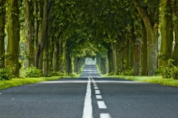 L&eacute;gende photo 2