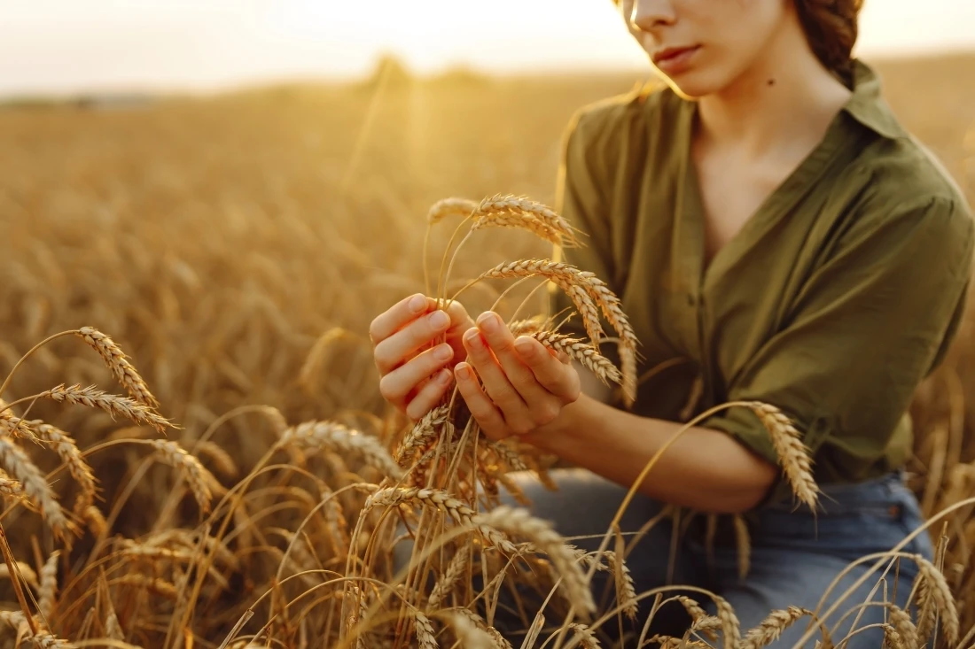 Gestion administrative et financi&egrave;re pour les agriculteurs